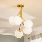 Selva loftlampe, 5 lyskilder offset, guld