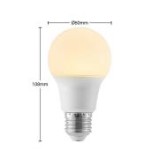 Arcchio LED-pære E27 A60 8W opal 3.000K 806lm