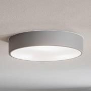 Cleo 400 loftlampe, IP54, Ø 40 cm, grå