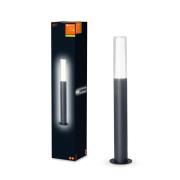 Ledvance Endura Style Flare LED-gadelampe