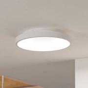 Stillington 1 væglampe af stål med trædetalje