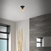 Tepel loftlampe til badet IP44 E27 sort