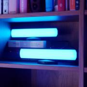 LEDVANCE SMART+ WiFi Mood Light LED-dekolampe 2 st