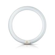 G10q 40W 840 ring-lysstofrør Master Circular TL-E