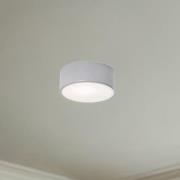 Loftlampe Cleo, Ø 20 cm, IP54, grå, metal, E27