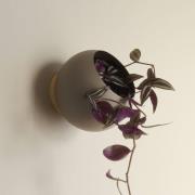 AYTM vægblomsterpotte Globe, Ø 17 cm, gråbrun, aluminium