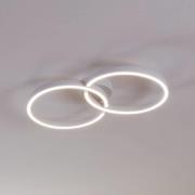 Armandolo LED-loftlampe, hvid, længde 67 cm, CCT, RGB