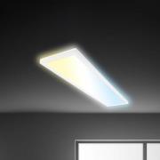 LED-panel Tava CCT, hvid, 98 x 20 cm, baggrundsbelysning, plast