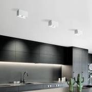 Elide loftlampe, 2 lyskilder