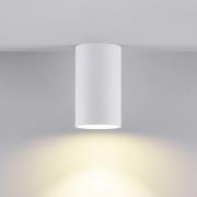 Downlight CAN, hvid, IP44, Ø 6 cm, metal, GU10