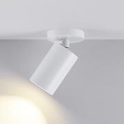 CAN TILT loftspot, hvid, Ø 8 cm, 1 lyskilde, metal, GU10