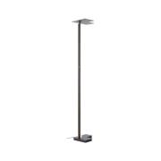 LED-gulvlampe Mora, antracit, højde 178 cm, metal