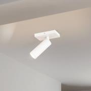 Arcchio loftspot Brinja Slim, hvid, 1 lyskilde, GU10 MR11