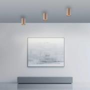 PURE LED-loftlampe til badeværelset Point, bronzefarvet, Ø 6 cm, IP44