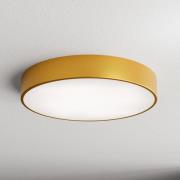 Loftlampe Cleo 500, guld, sensor, IP54, Ø 50 cm, metal