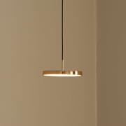 UMAGE LED-hængelampe Asteria Micro, poleret messing, Ø 15 cm