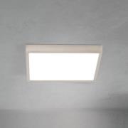 LED-loftlampe Disc, nikkelfarvet satineret Længde 24 cm CCT