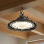 PRIOS LED-spotlight til hal Maikel, sort, IP65, Highbay