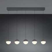 LED-hængelampe Senta, antracit, længde 114 cm 3.000 K 5 lyskilder.