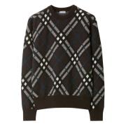 Check Crewneck Wool Sweater Brun