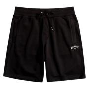 ARCH WKST Shorts