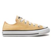 Chuck Taylor All Star Sneakers