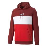 Ess+ Colorblock Hoodie