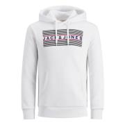 Logo Hættetrøje Sweatshirt