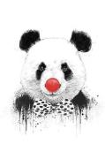 Plakat Clown Panda