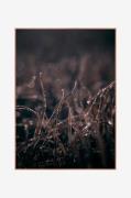 Malerifabrikken - Billede Spec. Mellow grasses 5 - Rød - Billeder - - ...