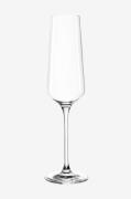 Champagneglas PUCCINI 6-pak