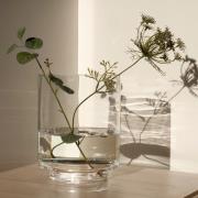 Zelected by Houze Grand Optic hurricane - 35x27 - clear