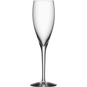 Orrefors More Champagneglas 15cl., 4 stk.