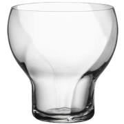 Kosta Boda Crystal Magic tumbler