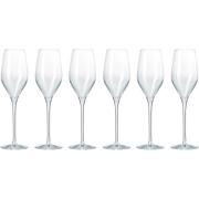 Aida Passion Connoisseur Champagneglas 6 stk.