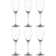 Spiegelau Special Party Champagneglas 16cl 6-pak