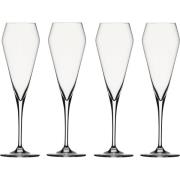 Spiegelau Willsberger Anniversary Champagneglas, 4-pak