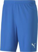 Puma Teamgoal 23 Knit Shorts L - Træningsshorts hos Magasin