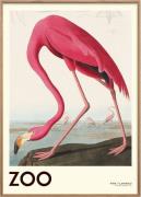 Poster & Frame The Zoo Collection Pink Flamingo Edt. 001 Flerfarvet St...