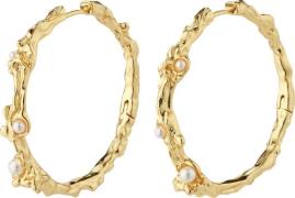 Pilgrim Raelynn Recycled Hoops Goldplated one size - Creoler hos Magas...