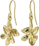 Pilgrim Riko Recycled Earrings Goldplated one size - Ørehænger hos Mag...