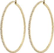 Pilgrim Sidney Crystal Hoop Earrings Goldplated one size - Creoler hos...