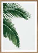 Poster & Frame Wonderhagen Palm Plakat Grøn Str 50x70 cm - Plakater ho...