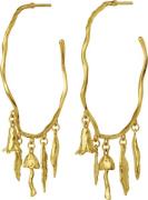 Maanesten Summer Earrings One Size - Creoler hos Magasin