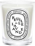 Diptyque Standard Candle Feuille de Lavande 190 g / 6,5 oz Kvindeduft ...