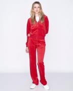 Juicy Couture Robertson Classic Velour Zip Trough Hoodie Kvinde Astor ...