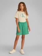 Calvin Klein NEW Inst. Logo Shorts Str 8 - Bahama Green Shorts & Bloom...